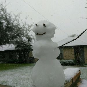 Meet your Posher, Ralph